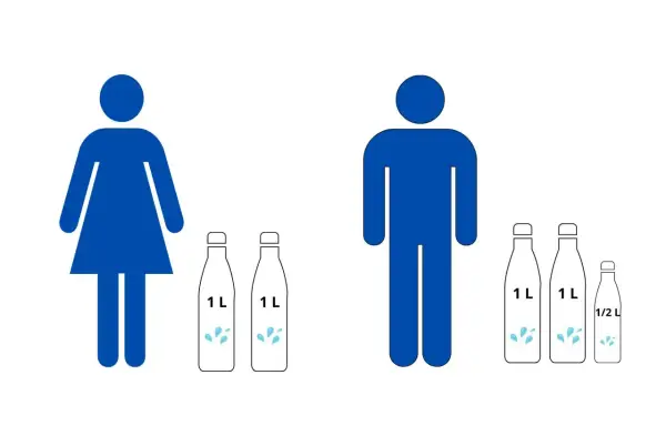 En illustration visar en kvinna med två 1-liters flaskor vatten och en man med två 1-liters och en 0,5-liters flaska. En bra vägledning för hur mycket vatten man ska dricka per dag.